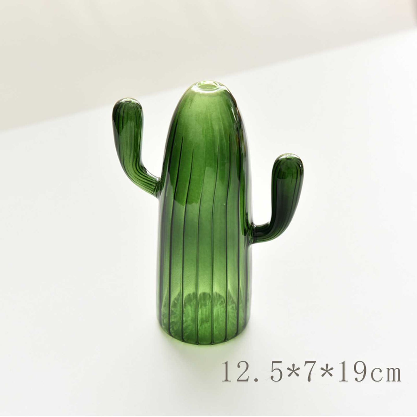 DesertBloom Modern Cactus Glass Vase Collection