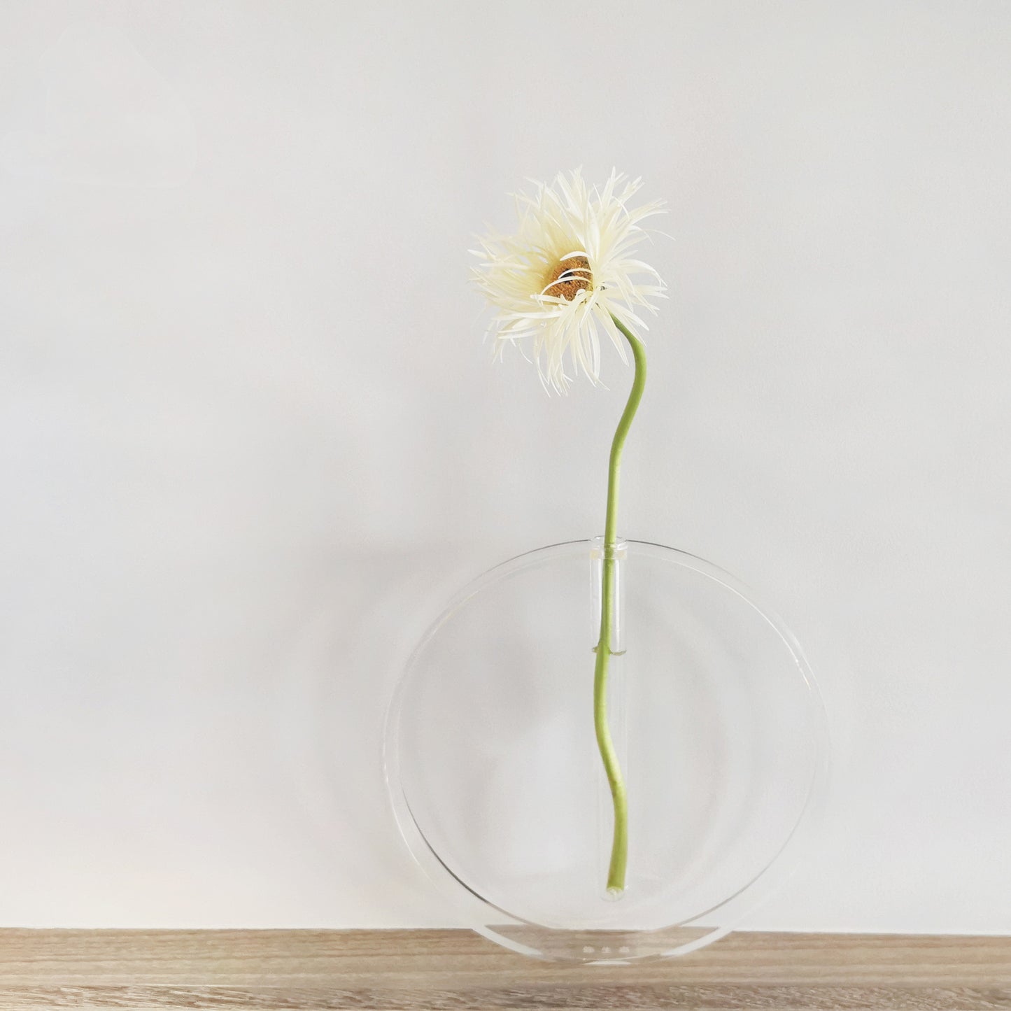 Clear Acrylic Vase - Minimalist Decorative Ornaments